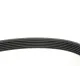 Ремінь генератора Fiat Doblo 1.3/1.6D 10-/Ducato 2.2D/Ford Transit 2.2TDCI 06-