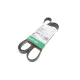 Ремінь генератора INA FB 6PK1755 для Jeep Wrangler 4.0 1991-1996, Ford Scorpio 2.0/2.3 1994-1998, Volvo S90/V90 2.9 1997-1998, довжина 1755 мм