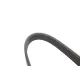 Ремінь генератора INA FB 6PK1755 для Jeep Wrangler 4.0 1991-1996, Ford Scorpio 2.0/2.3 1994-1998, Volvo S90/V90 2.9 1997-1998, довжина 1755 мм