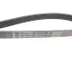 Ремінь генератора INA 6PK1845 для Ford Mondeo IV 2.0 TDCi 2007-2015, Volvo S80/V70 2.0D/TDi 2007-2015