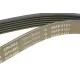 Ремінь генератора BMW 1 (F20/F21)/3 (F30/F80) 1.6i 11-/Honda Civic VII/FR-V 1.7i 01-