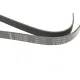 Ремінь генератора INA 7PK1666 для BMW X5 E70 4.8i, Renault Master 2.3 dCi, Opel Movano 2.3 CDTI 1666 мм
