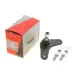 Опора кульова (передня/знизу/R) Mini Cooper 01-06 (R50/R52/R53)
