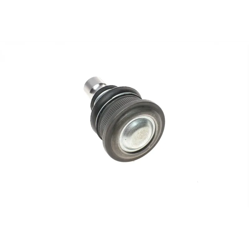 Опора кульова (передня/знизу) Renault Megane II/Scenic 02- (d=16mm)