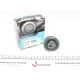 Ролик ГРМ Hyundai Santa FE/Sonata/Kia Sorento/Mitsubishi Galant 2.0/2.4 87-07 (натяжний) (55х18)