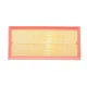 Фільтр повітряний Land Rover Discovery 2.0Td/3.0D/3.0/5.0/Range Rover/Sport 3.0/D/TD/4.4D/5.0 09-