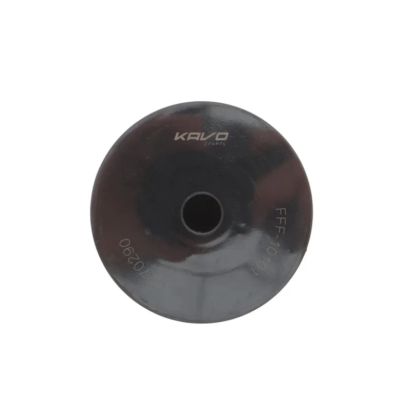 Фільтр паливний KAVO PARTS FFF-10101 для Fiat Scudo, Citroen Jumpy, Peugeot Expert 2.0JTD/HDI 2007-