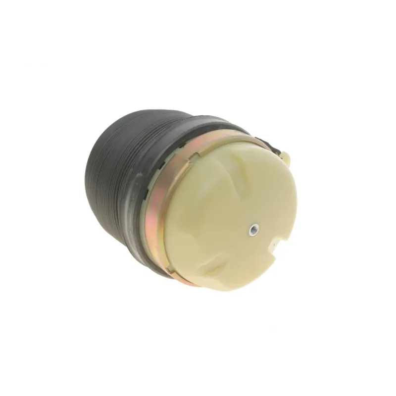 Подушка пневмопідвіски задня KAVO PARTS SAS-10009 для Audi A6 C6 2004-2011