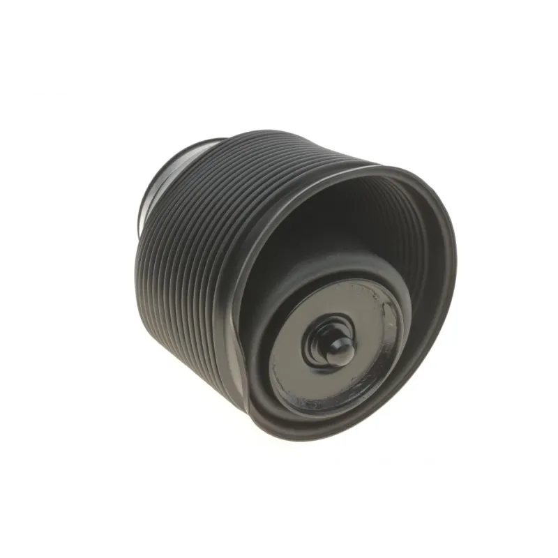 Подушка пневмопідвіски (ззаду) Toyota Land Cruiser Prado 3.0D-4D 02- (R)