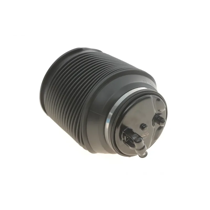Подушка пневмопідвіски (ззаду) Toyota Land Cruiser Prado 3.0D-4D 02- (R)