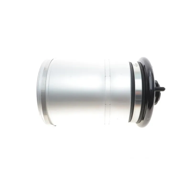 Подушка пневмопідвіски (ззаду) Land Rover Discovery III/IV 04-18/Range Rover Sport I 05-13