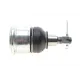Опора кульова (передня/знизу) Honda Accord 2.0-2.4 03-