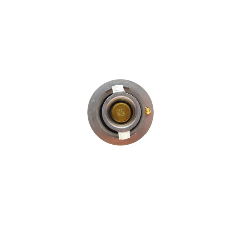 Термостат Hyundai Accent/Elantra/Kia Rio/Ceed/Sportage 1.0-2.0 06- (82°C)