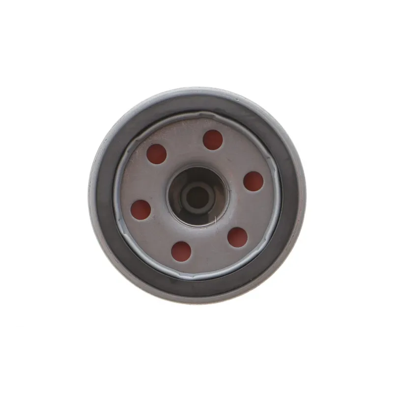 Фільтр масляний Renault Megane III 2.0CVT 09-/IV 1.6TCe 16-/Laguna III 2.0/3.5i 07- (h=65mm)