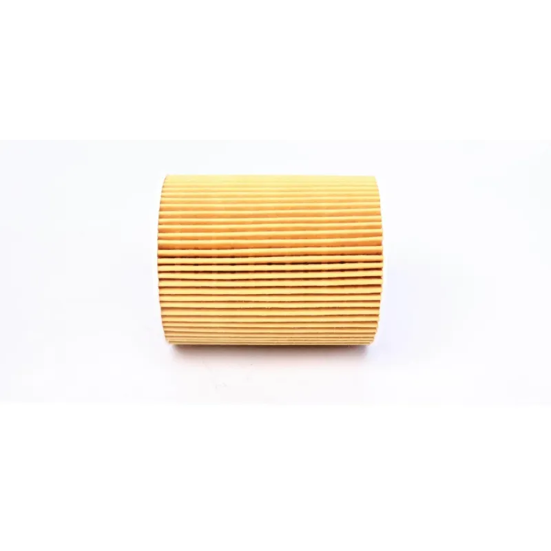 Фільтр масляний Citroen C5/Peugeot 407 3.0HDI 09-/Land Rover Discovery/Range Rover Sport 3.0TD 09-