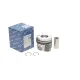 Поршень Renault Trafic/Master/Opel Vivaro 2.5CDTi 01- (89.00mm/STD)