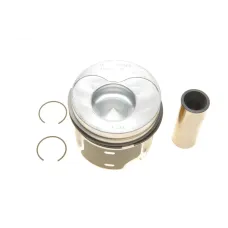 Купити Поршень Audi A3/Skoda Fabia II/VW Caddy III/Golf V 1.9 TDI 03-10 (80.01mm/+0.50) (1-2 циліндр) | KovelAutoHub