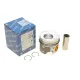 Поршень Audi A3/Skoda Fabia II/VW Caddy III/Golf V 1.9 TDI 03-10 (80.01mm/+0.50) (1-2 циліндр)