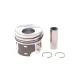 Поршень Audi A3/Skoda Fabia II/VW Caddy III/Golf V 1.9 TDI 03-10 (79.51mm/STD) (3-4 циліндр)