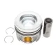 Поршень VW T5/T6 2.0TDI (81.00mm/STD)