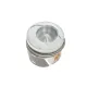 Поршень VW Crafter 2.5TDI 100/120kw 06-13 (81.01mm/STD)