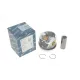 Поршень VW Crafter 2.5TDI 100/120kw 06-13 (81.01mm/STD)