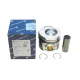 Поршень VW Crafter 2.5TDI 06-13 (81.01mm/STD)