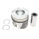 Поршень Opel Astra H/J/Zafira B 1.7 CDTI 03- (79.50mm/+0.50)