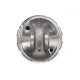 Поршень Opel Astra H/J/Zafira B 1.7 CDTI 03- (79.50mm/+0.50)