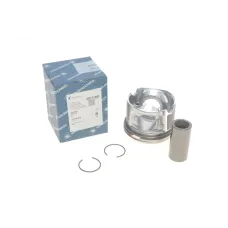 Купити Поршень BMW 1 (E81/E87/F20/F21)/3 E90/F30/F80)/5 (E60/F10)/X5 (F15/F85) 2.0D 04- (84.25mm/+0.25) N47 | KovelAutoHub