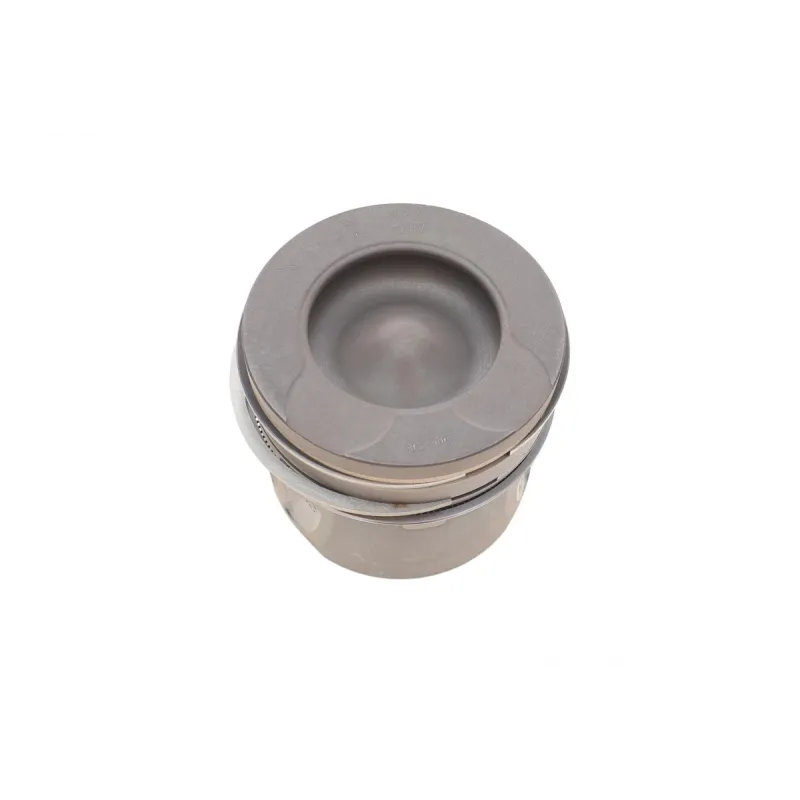 Поршень Citroen C5 III/Peugeot 508 2.2 HDi 10- (85.00mm/STD)