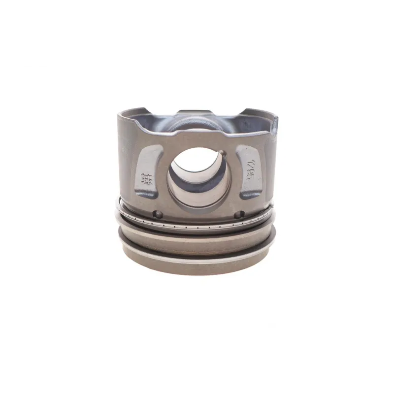 Поршень Citroen C5 III/Peugeot 508 2.2 HDi 10- (85.00mm/STD)
