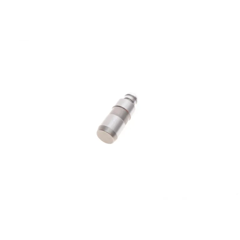 Гідрокомпенсатор Citroen Jumpy/Peugeot Expert 2.0 HDi 07-16 (DW10BTED4)