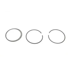 Комплект поршневих кілець KOLBENSCHMIDT 800020710000 для Opel Astra F 1.6i 1992-1998, 79.00mm STD
