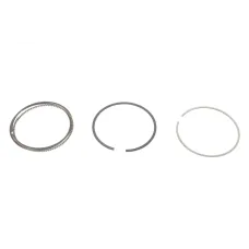 Купити Кільця поршневі Opel Astra/Vectra 1.6i 00- (79.00mm/STD) (1.2-1.2-2) | KovelAutoHub