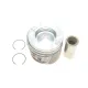 Поршень Renault Master III/Opel Movano B 2.3dCI/CDTI 10- (85.01mm/STD)