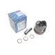 Поршень Renault Megane II/Laguna II 1.9dCi 02- (80.50mm/+0.50)