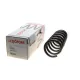 Пружина (передня) BMW X6 (E71/E72) 30d/35i/40d/50i 08-14 (SUV) (без Adaptive Drive)