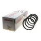 Пружина передньої підвіски LESJOFORS 4015667 для Peugeot Expert, Citroen Jumpy II 2.0 HDi 2007-
