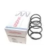 Пружина передньої підвіски LESJOFORS 4027604 для Ford Focus II 1.8/2.0 TDCi 2004-2012 (седан/універсал/хетчбек)