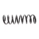 Пружина передньої підвіски LESJOFORS 4056823 для Mercedes-Benz E-Class W210/S210 1995-2004