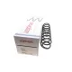 Пружина передньої підвіски LESJOFORS 4056840 для Mercedes-Benz E-Class W211/S211 2002-2009