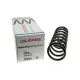 Пружина передньої підвіски LESJOFORS 4056845 для Mercedes-Benz E-Class W211/S211 2002-2008 (Avantgarde/Sport)