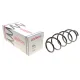 Пружина передня LESJOFORS 4056856 для Mercedes-Benz B-Class W245 2005-2011