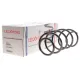 Пружина передньої підвіски LESJOFORS 4056866 для Mercedes-Benz A-Class W169 (2004-2012) АКПП