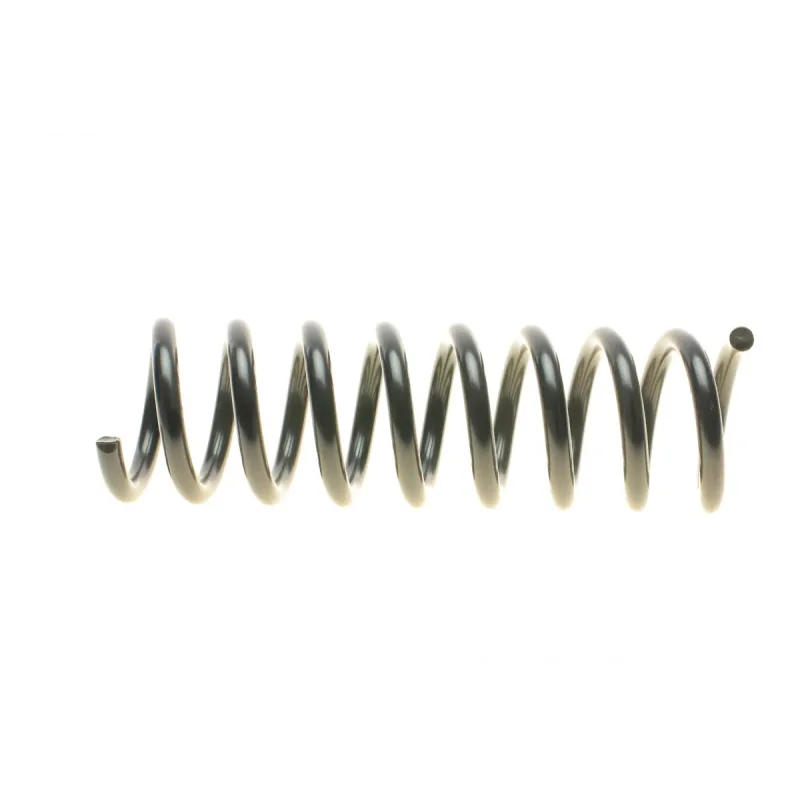 Пружина передньої підвіски LESJOFORS 4056884 для Mercedes-Benz E-Class W210 1999-2003 (седан/універсал)