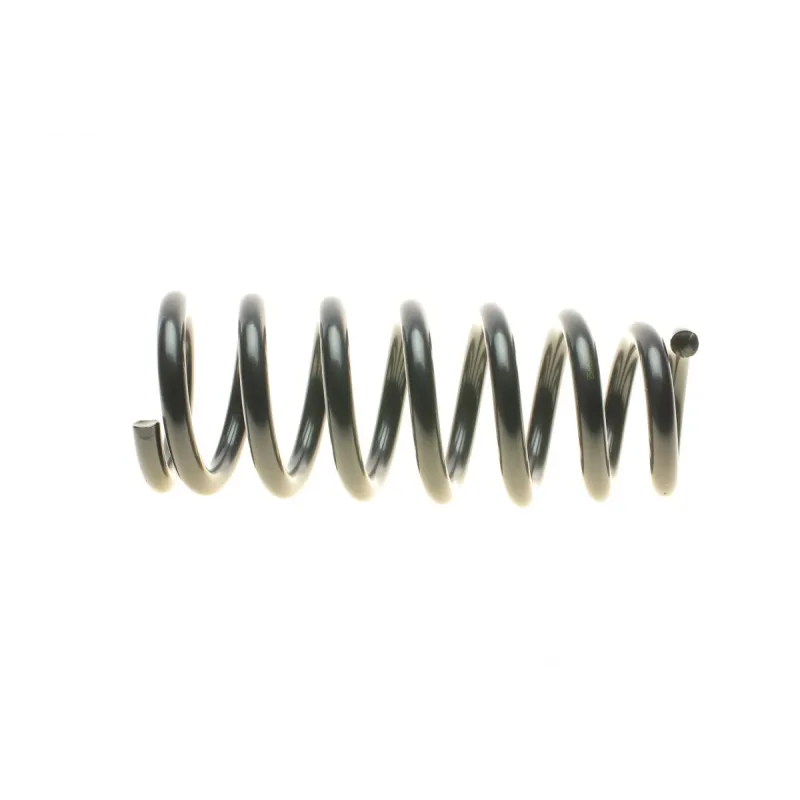 Пружина передньої підвіски LESJOFORS 4059244 для Mitsubishi Pajero III 2000-2006 (3.2DI-D/3.5 V6 GDI)