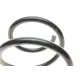 Пружина (передня) Nissan Qashqai II1.6 dCi/2.0 13-/Renault Kadjar 1.6dCi 15- (SUV)