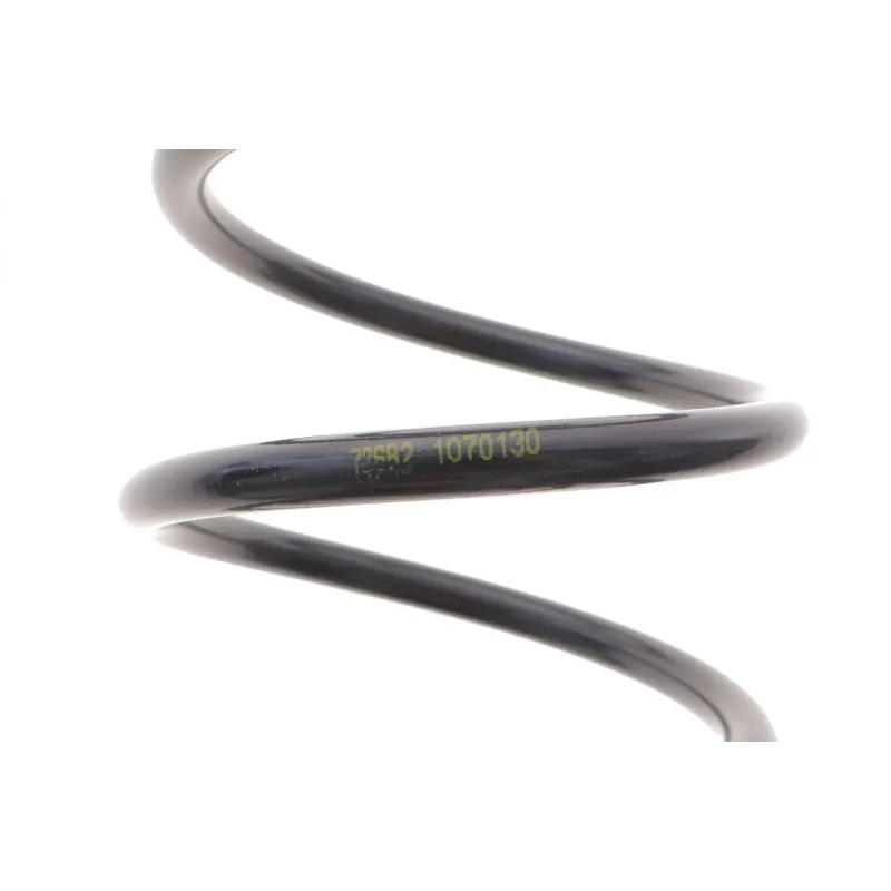 Пружина передньої підвіски LESJOFORS 4063416 для Opel Astra F 1.7D 1991-1999