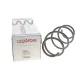 Пружина передньої підвіски LESJOFORS 4072936 для Renault Laguna II 1.9/2.0 dCi 2001-2007